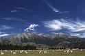 WT 0200 037-34 New Zealand